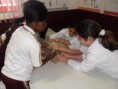 /album/galeria%20de%20fotos%3a%206%c2%ba%20ano%20-%20colegio%20educar/image1-jpg1/