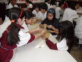 /album/galeria%20de%20fotos%3a%206%c2%ba%20ano%20-%20colegio%20educar/image11-jpg1/