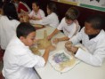 /album/galeria%20de%20fotos%3a%206%c2%ba%20ano%20-%20colegio%20educar/image12-jpg1/