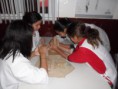 /album/galeria%20de%20fotos%3a%206%c2%ba%20ano%20-%20colegio%20educar/image14-jpg1/