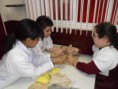 /album/galeria%20de%20fotos%3a%206%c2%ba%20ano%20-%20colegio%20educar/image15-jpg1/