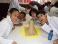 /album/galeria%20de%20fotos%3a%206%c2%ba%20ano%20-%20colegio%20educar/image20-jpg1/
