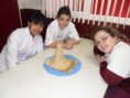 /album/galeria%20de%20fotos%3a%206%c2%ba%20ano%20-%20colegio%20educar/image21-jpg1/