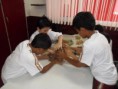 /album/galeria%20de%20fotos%3a%206%c2%ba%20ano%20-%20colegio%20educar/image3-jpg1/