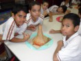 /album/galeria%20de%20fotos%3a%206%c2%ba%20ano%20-%20colegio%20educar/image7-jpg1/